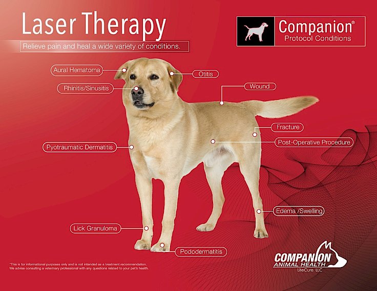 laser therapy